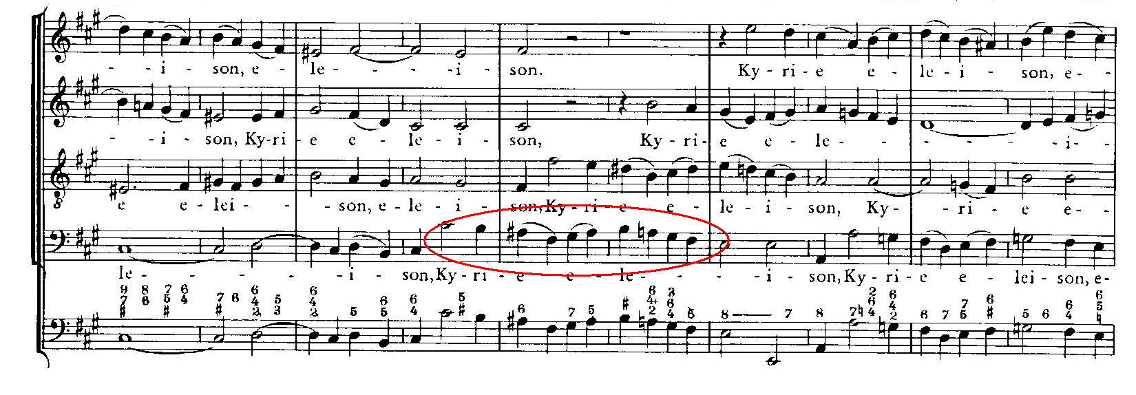 【希少】オブリガート5度調弦ハイE線 希少】オブリガート5度調弦ハイE線 h-moll missa